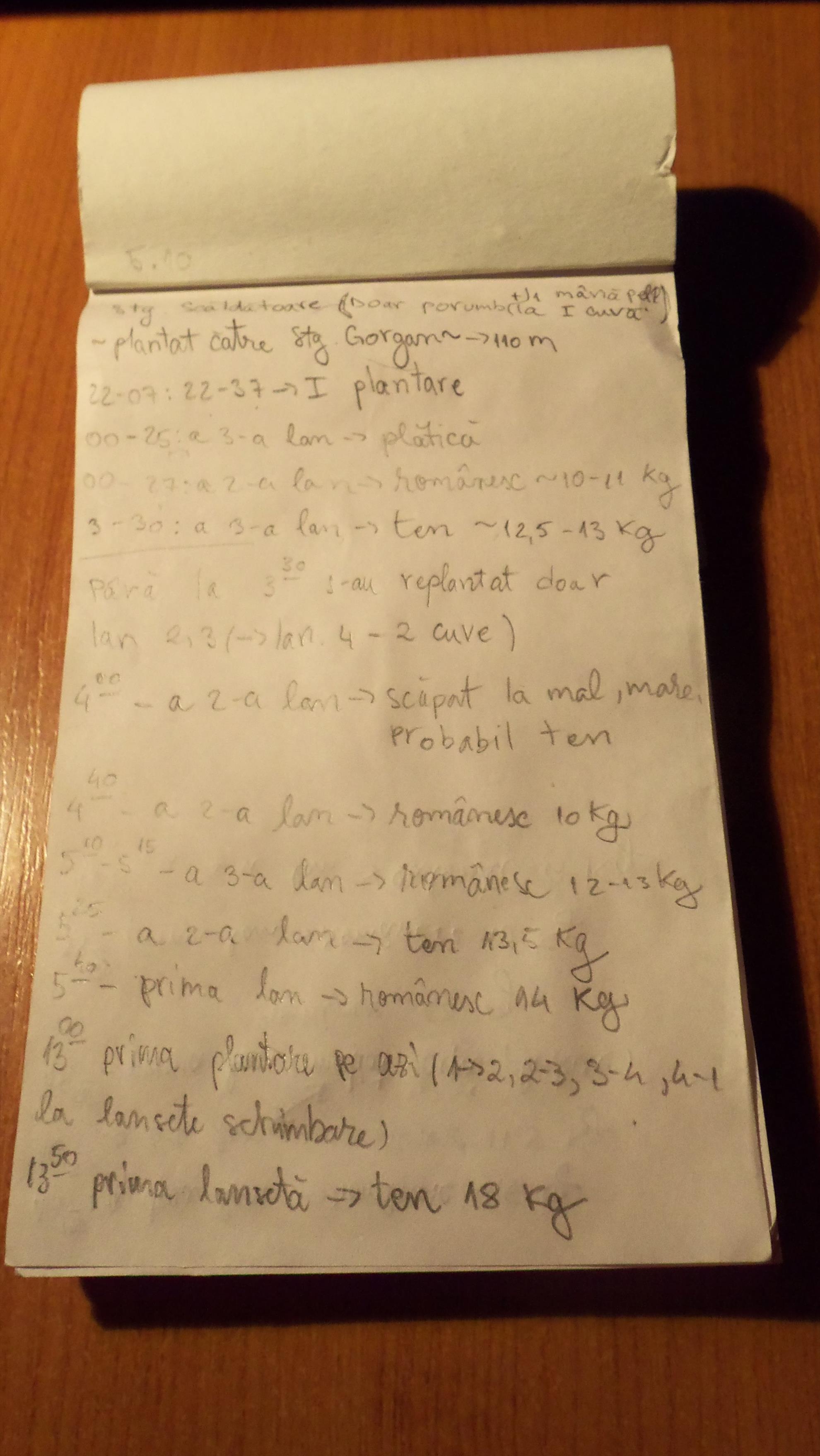 Pro Team - 1021681.JPG